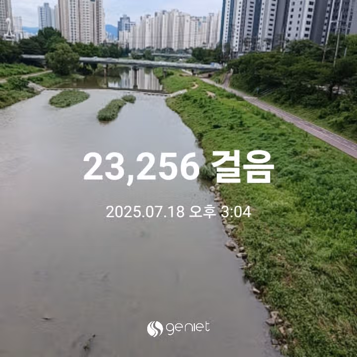 오후 운동 