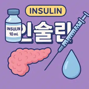 인슐린 종류부터 다양한 기능까지, 한 번에 기억하기!