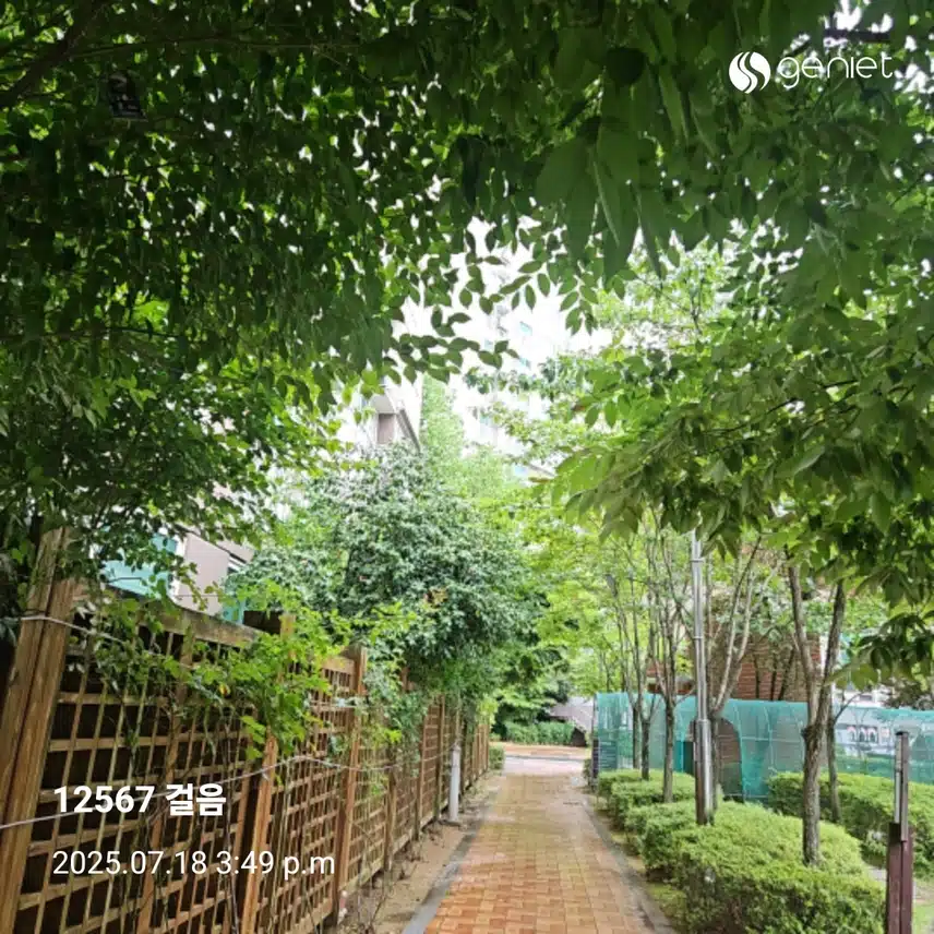 비오기 전 산책으로🏃