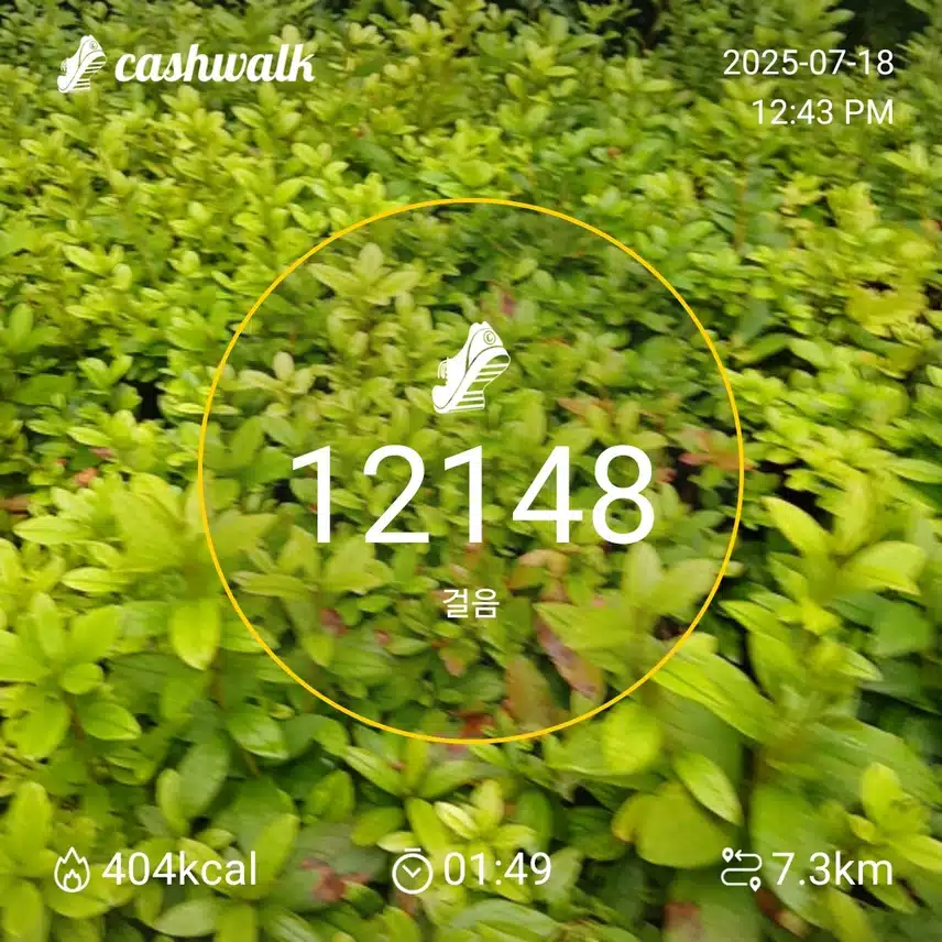 인증 