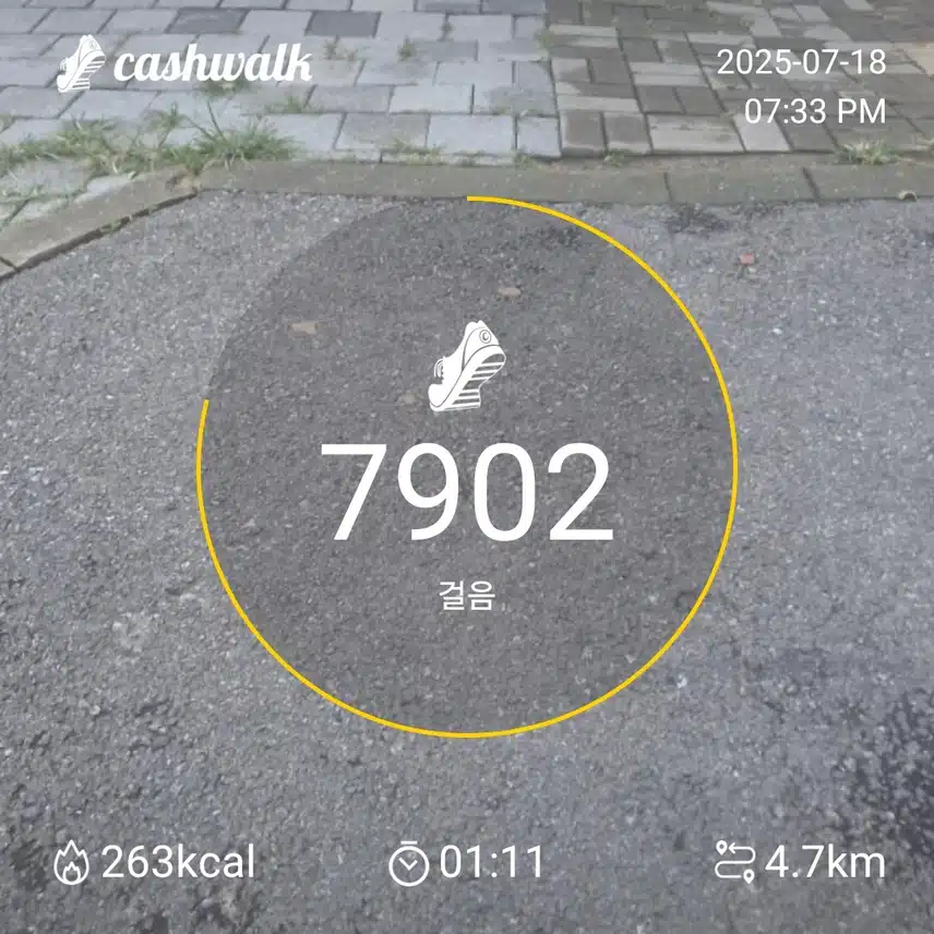 인증