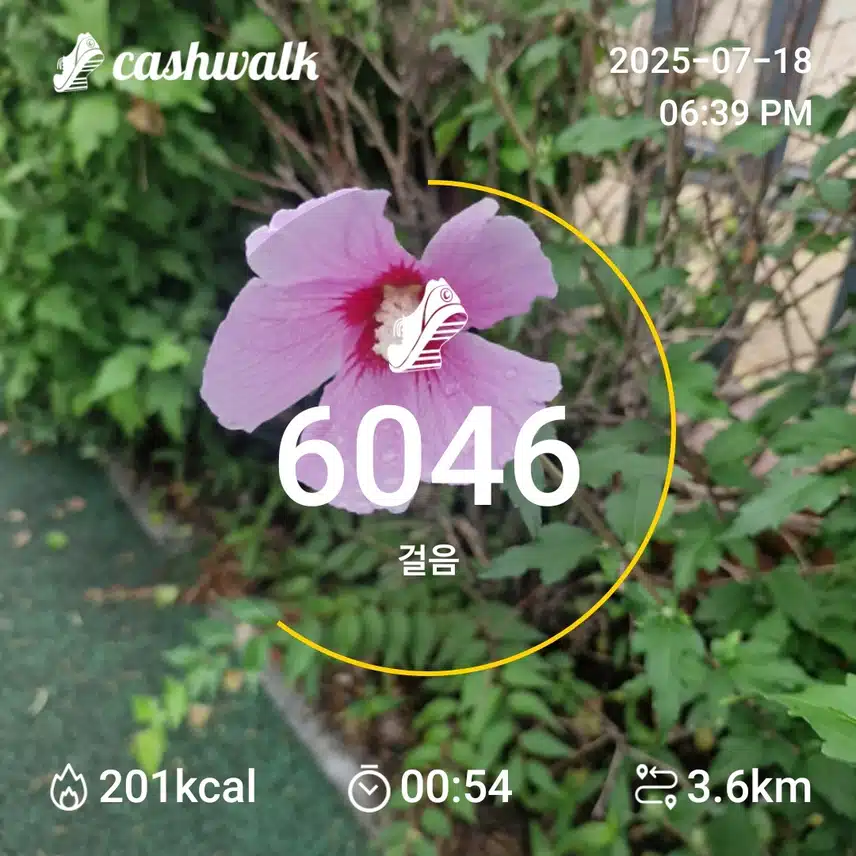 인증