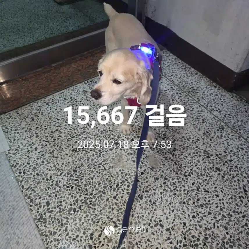 금요일 마무리 