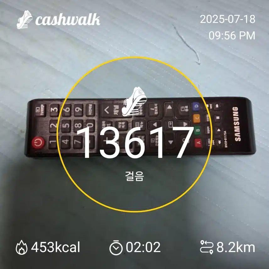 보라소년