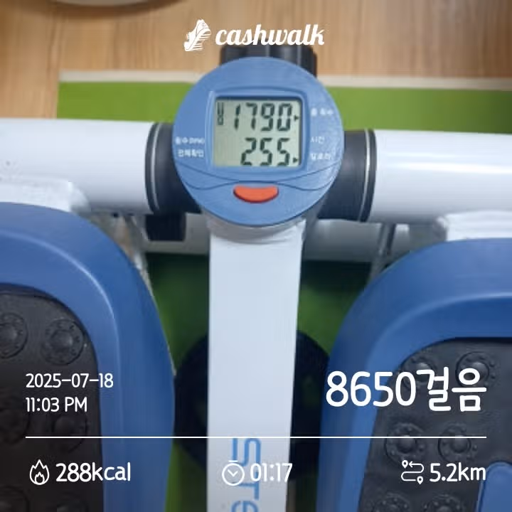 소소하게 스텝퍼 밟아봤어요!