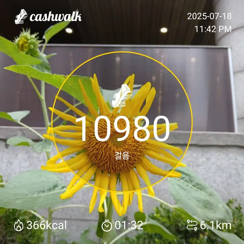 걷기 인증샷249일차