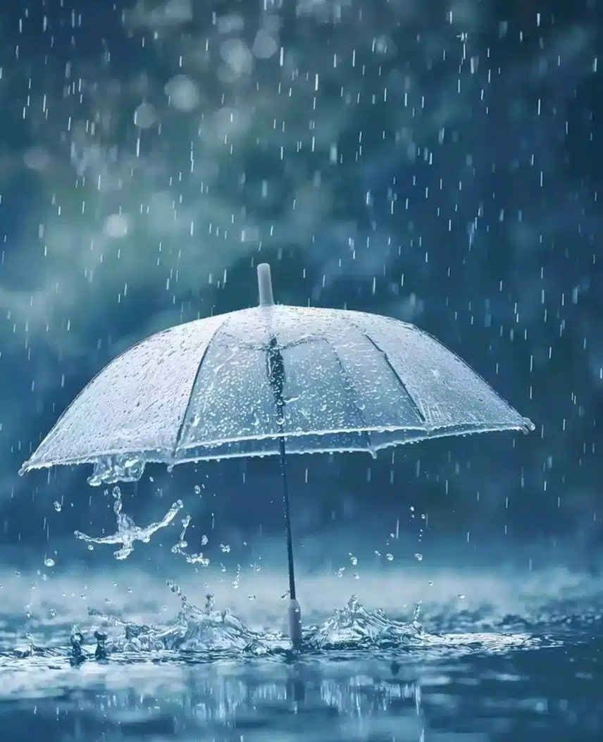 빗소리에  잠이 깼어요.