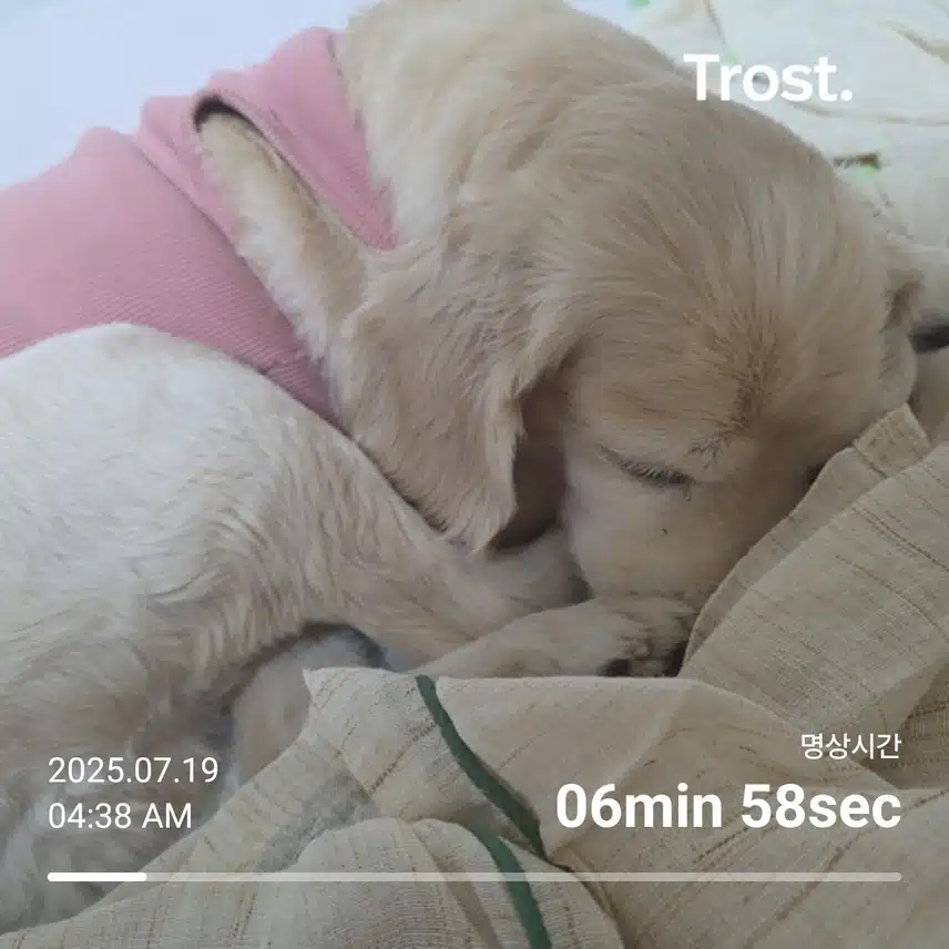 토요일 아침 