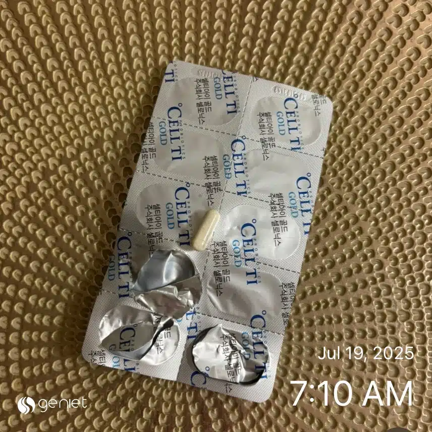 유산균💊