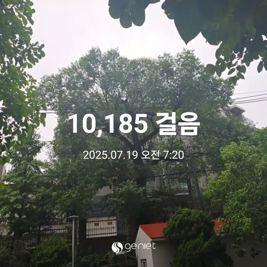 우산쓰고 아침산책 끝내고~