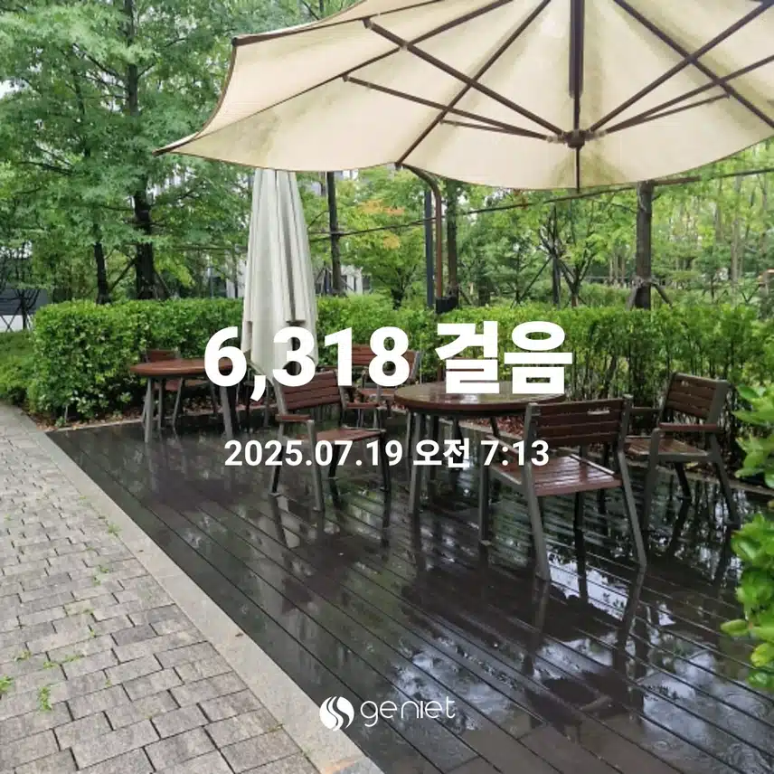 새벽 산책