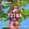 board-img