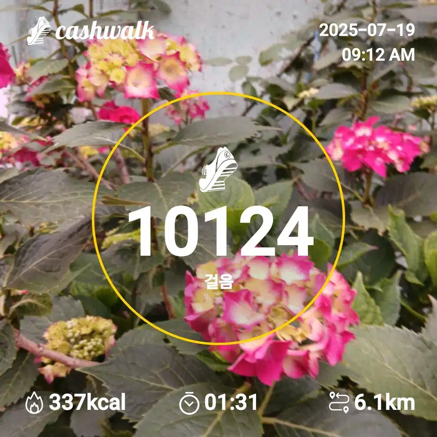 행복