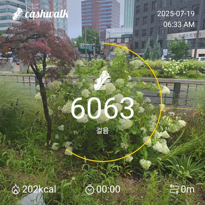 6천보챌 43기 10일차 + 최종보상 