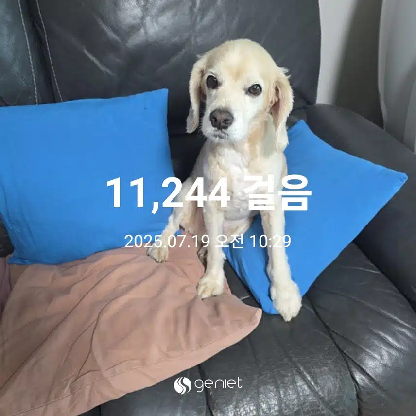 아침은 잡곡밥과 기본식단(구운두부버섯 야채과일 샐러드)