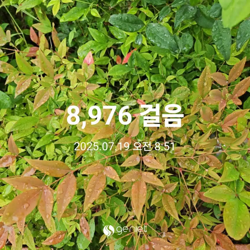 아침 산책으로 🏃