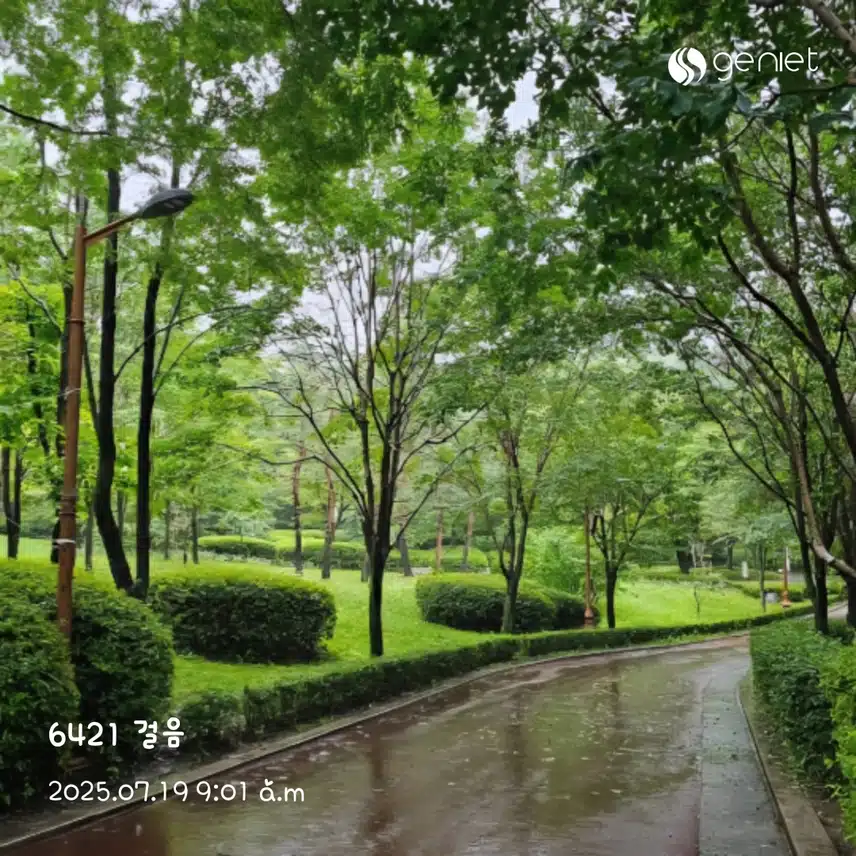 아침 산책🏃‍♀️