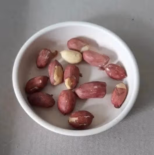 땅콩