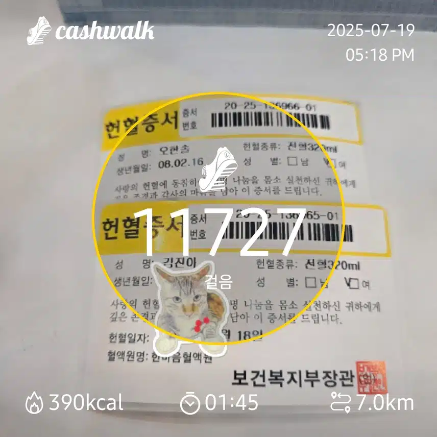 맠보걷기 1.87일차 인증