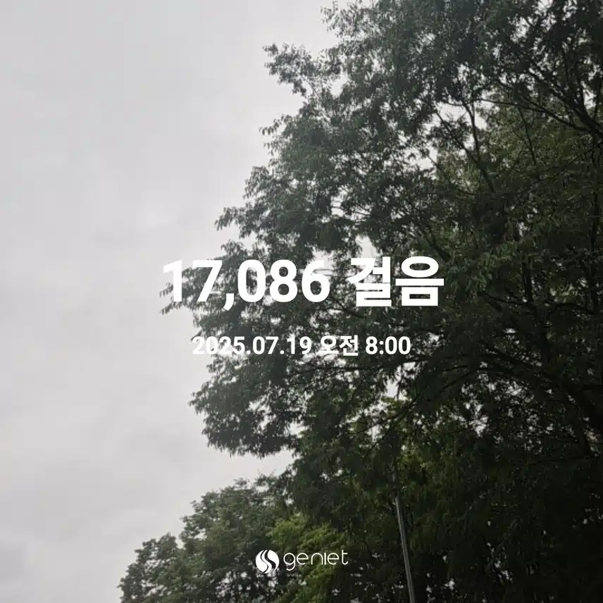 2025년 7월 19일 토요일 걷기