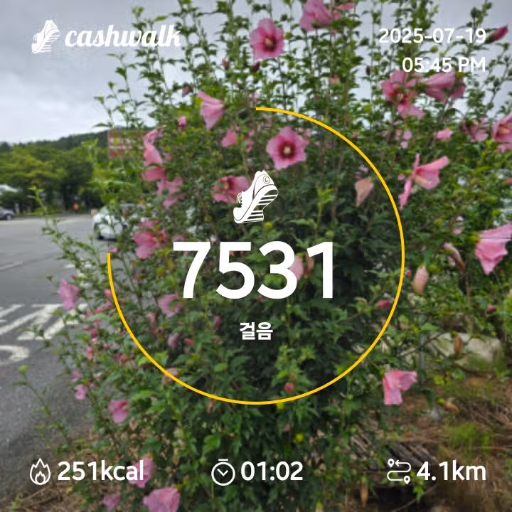 인증