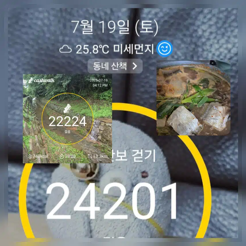 ( v^-゜)♪ 꺄~압~행복해져랏 만보걷기 완료 ~🥰