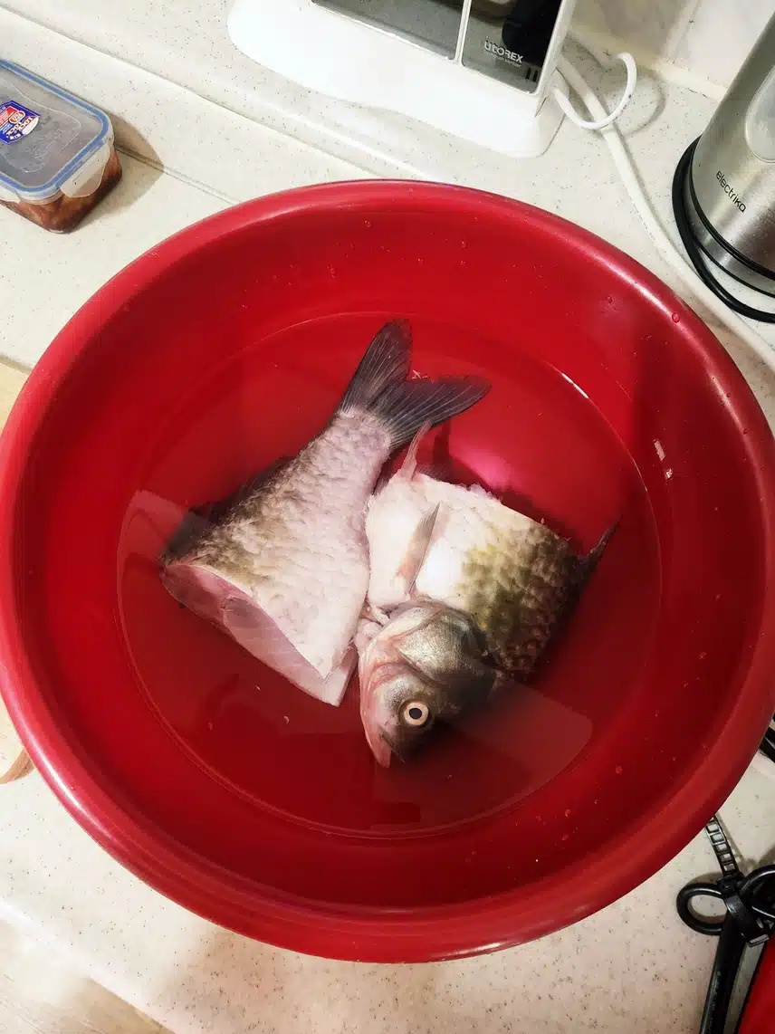 사랑님을 위해 어탕 대령이요🤭