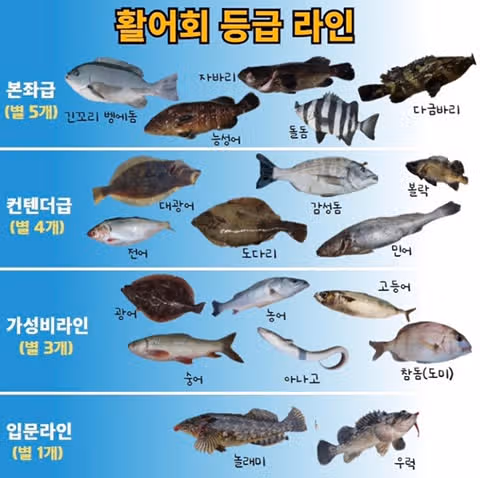 활어회 등급