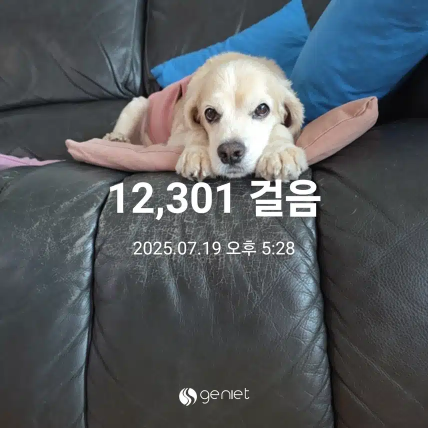 토요일 마무리 