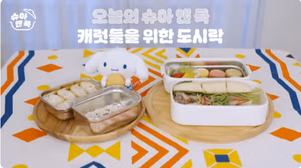 Shua made a lunch box for Carats