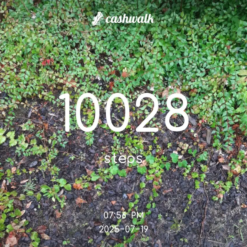 19일 걷기완료
