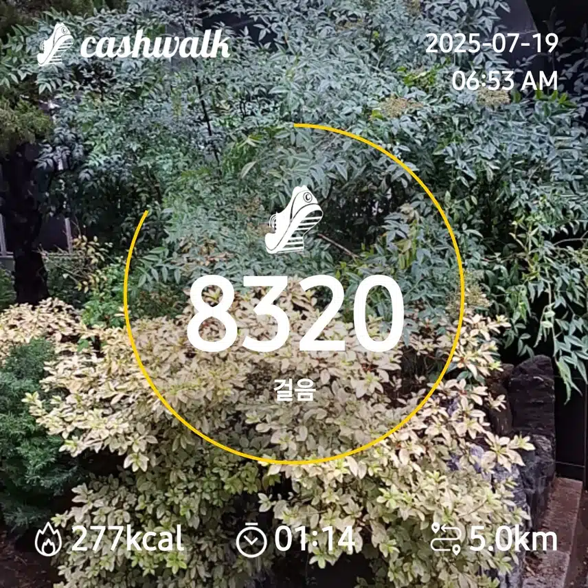 6000보 걷기
