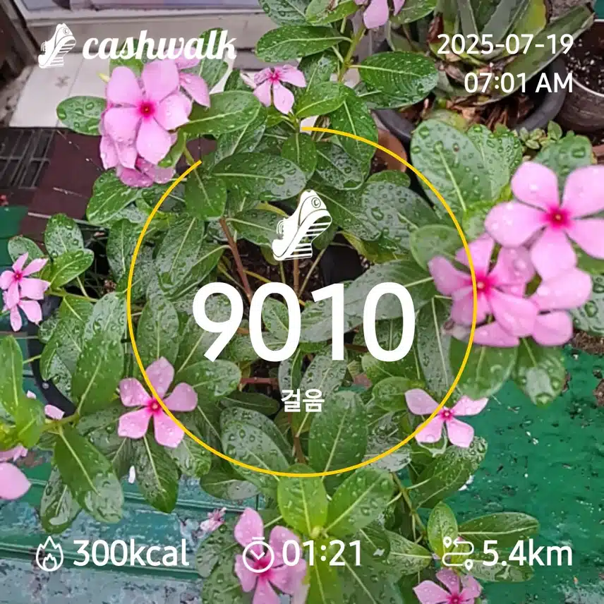 7000. 보 걷기