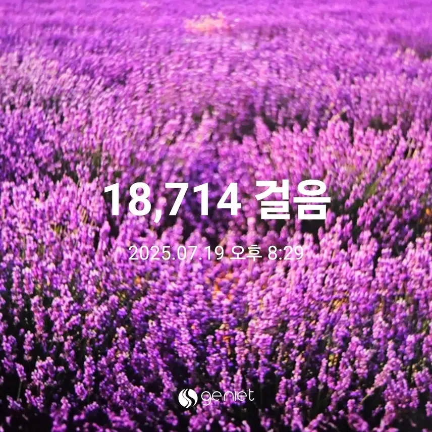 저녁 걸음으로🏃