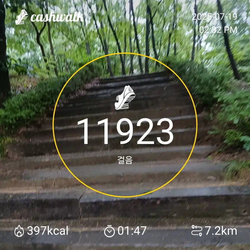 인증 