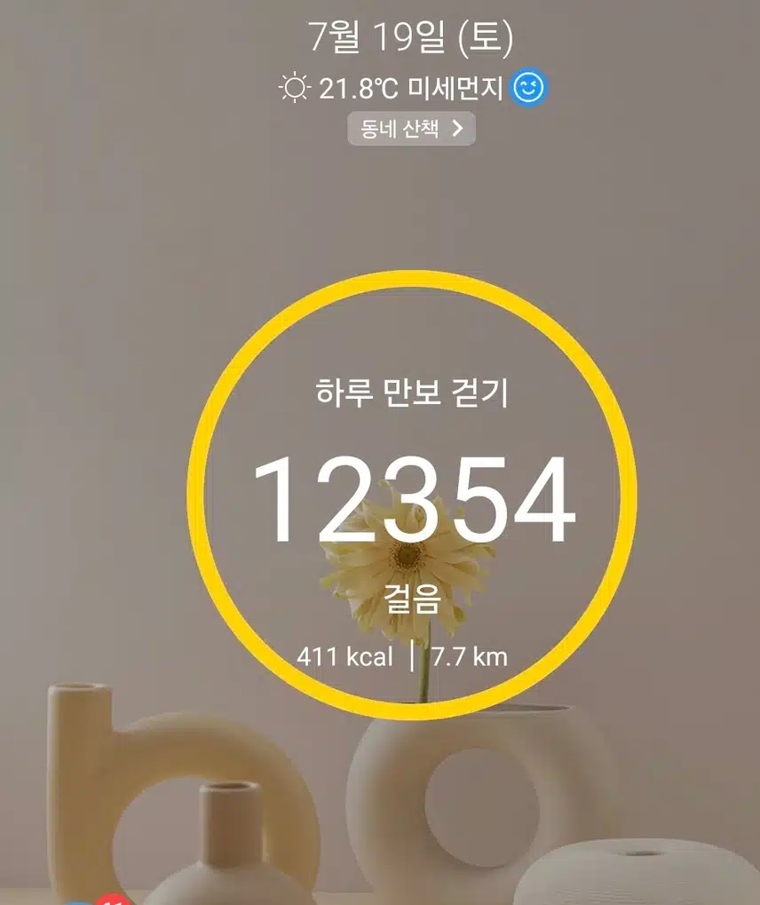 1만보 걷기 운동