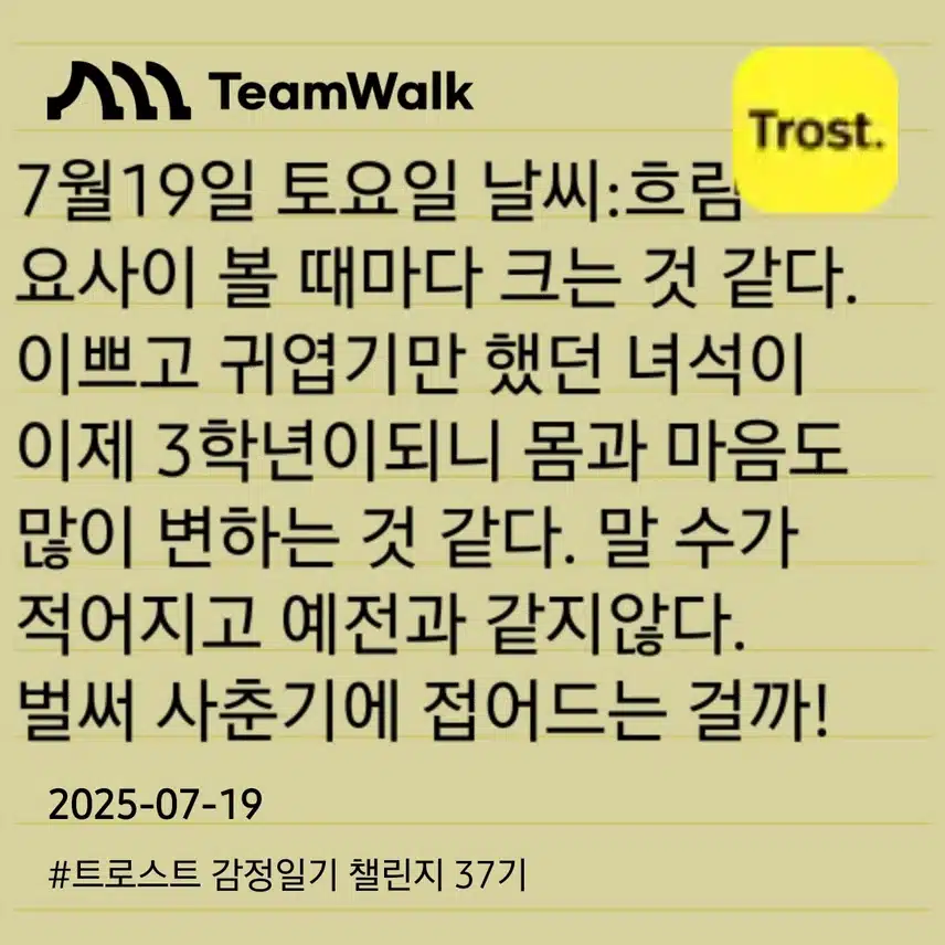 인증