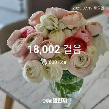 7월 19일 만팔천보 완주
