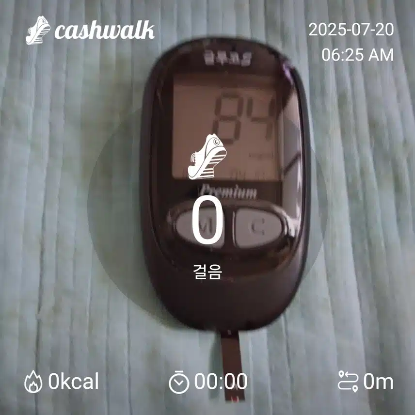 혈당