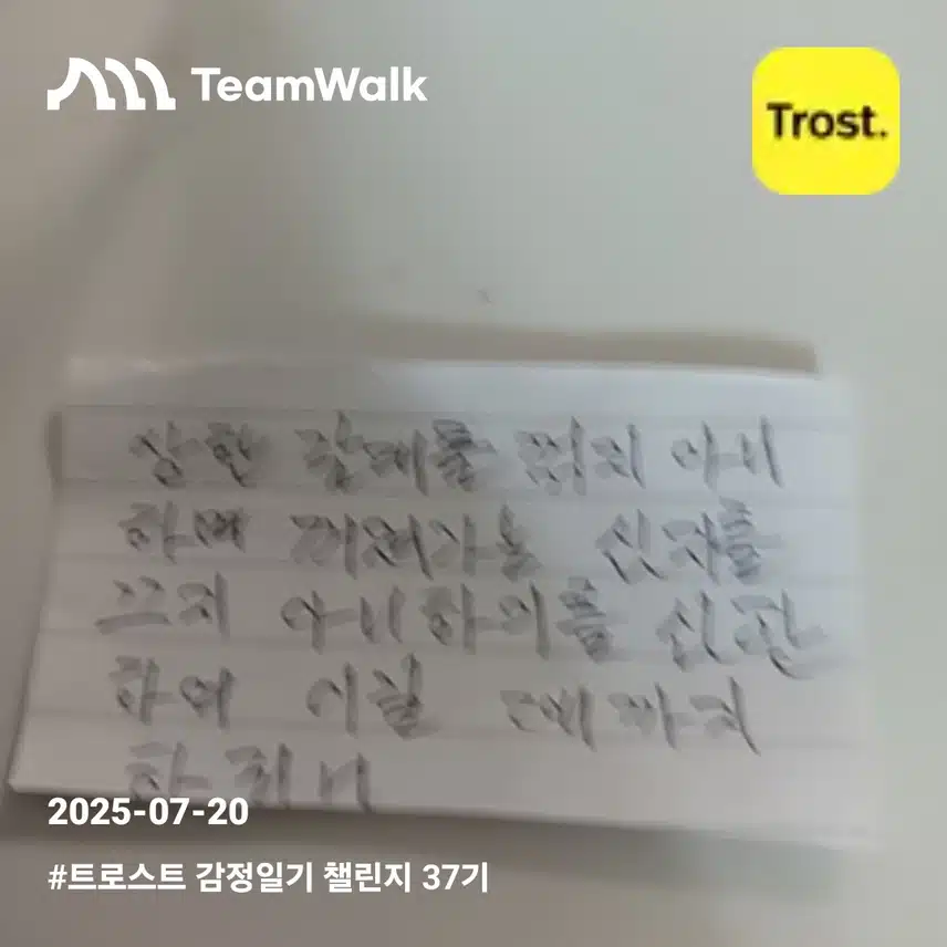 감정일기13일차인증