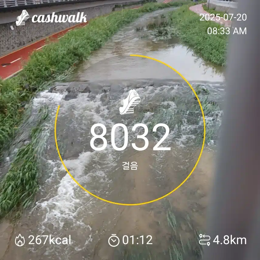 6천