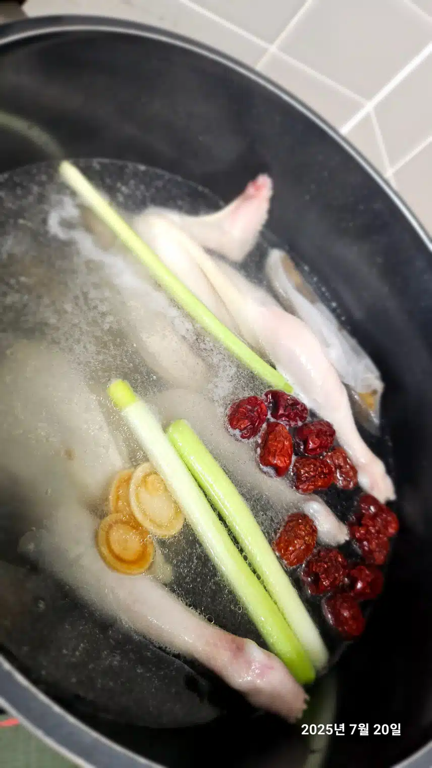 초복-영계삼계탕