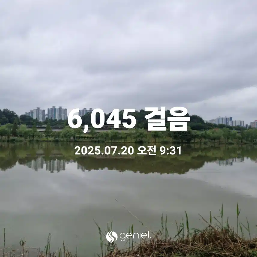 아침 산책