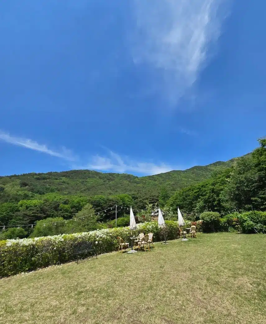 🎈한옥과 자연이 어울어진 도동산방 한정식집 추천합니다