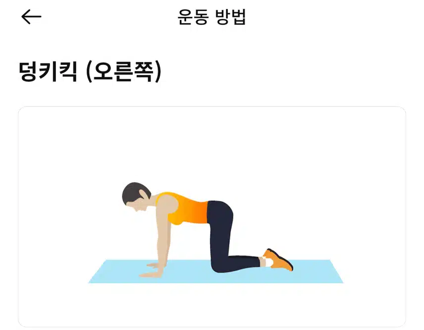 (캐시홈트) 하체근력과 밸런스를 동시에 잡는 운동 루틴 