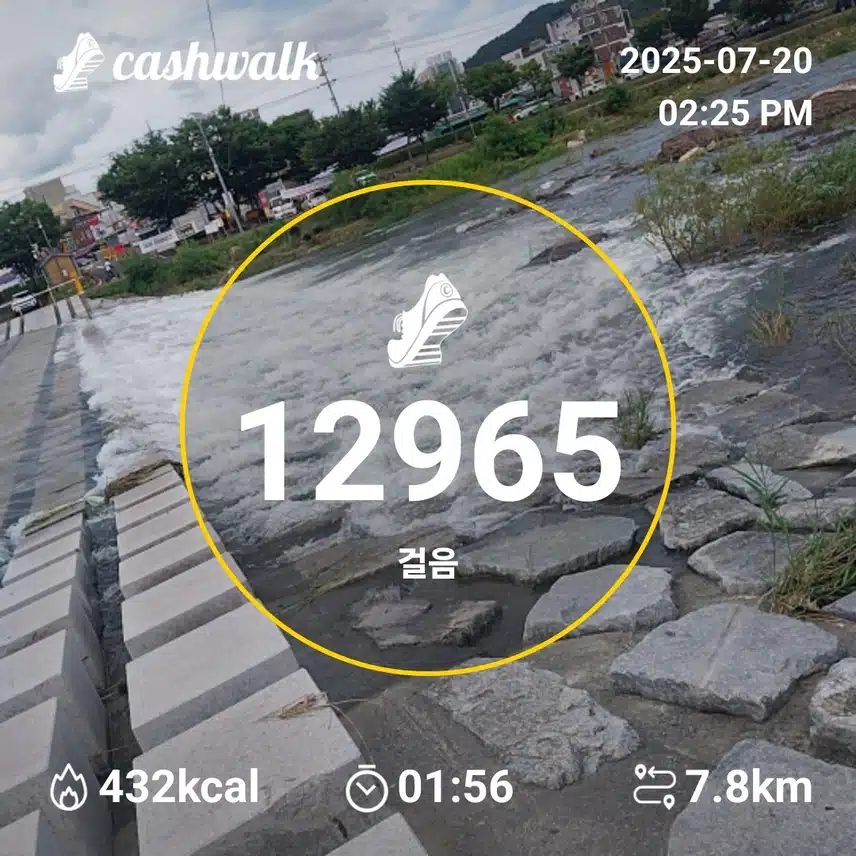 인증