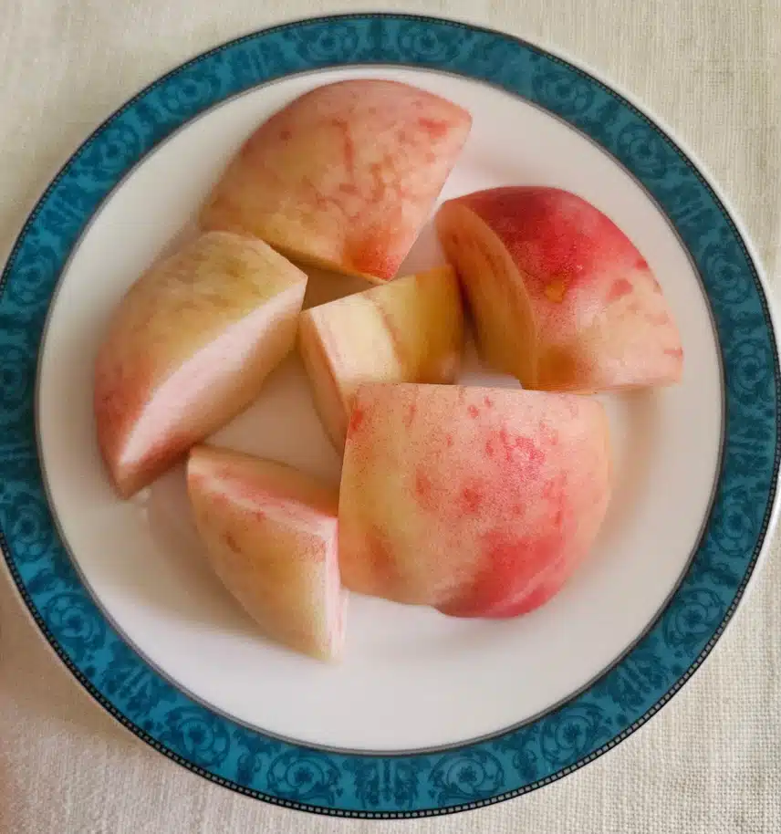 산책 후 비타민 충전 🍑