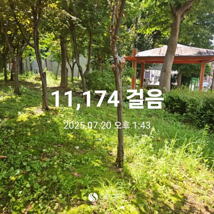 점심 후 산책으로 🏃
