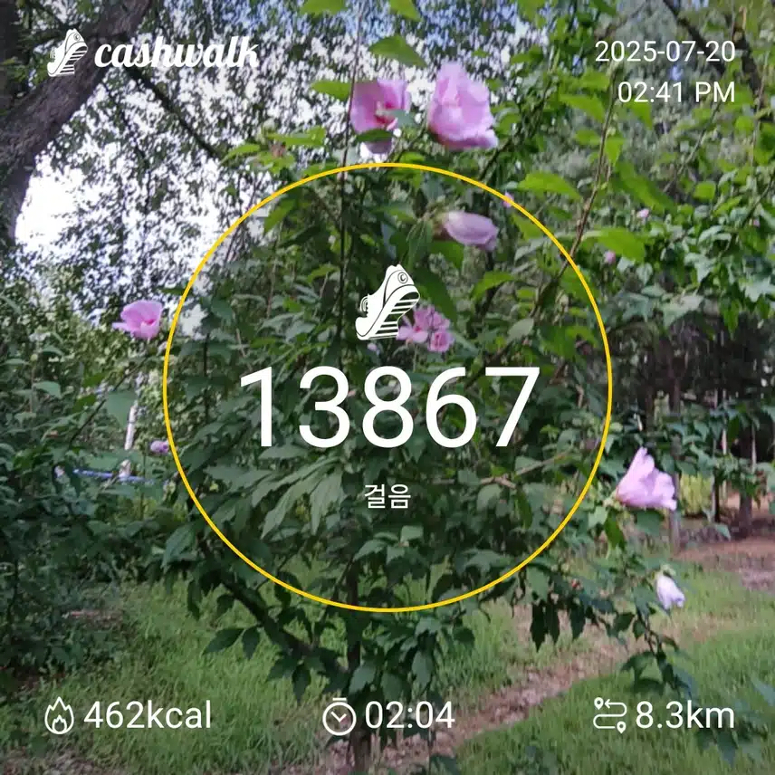 인증 