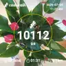 board-img
